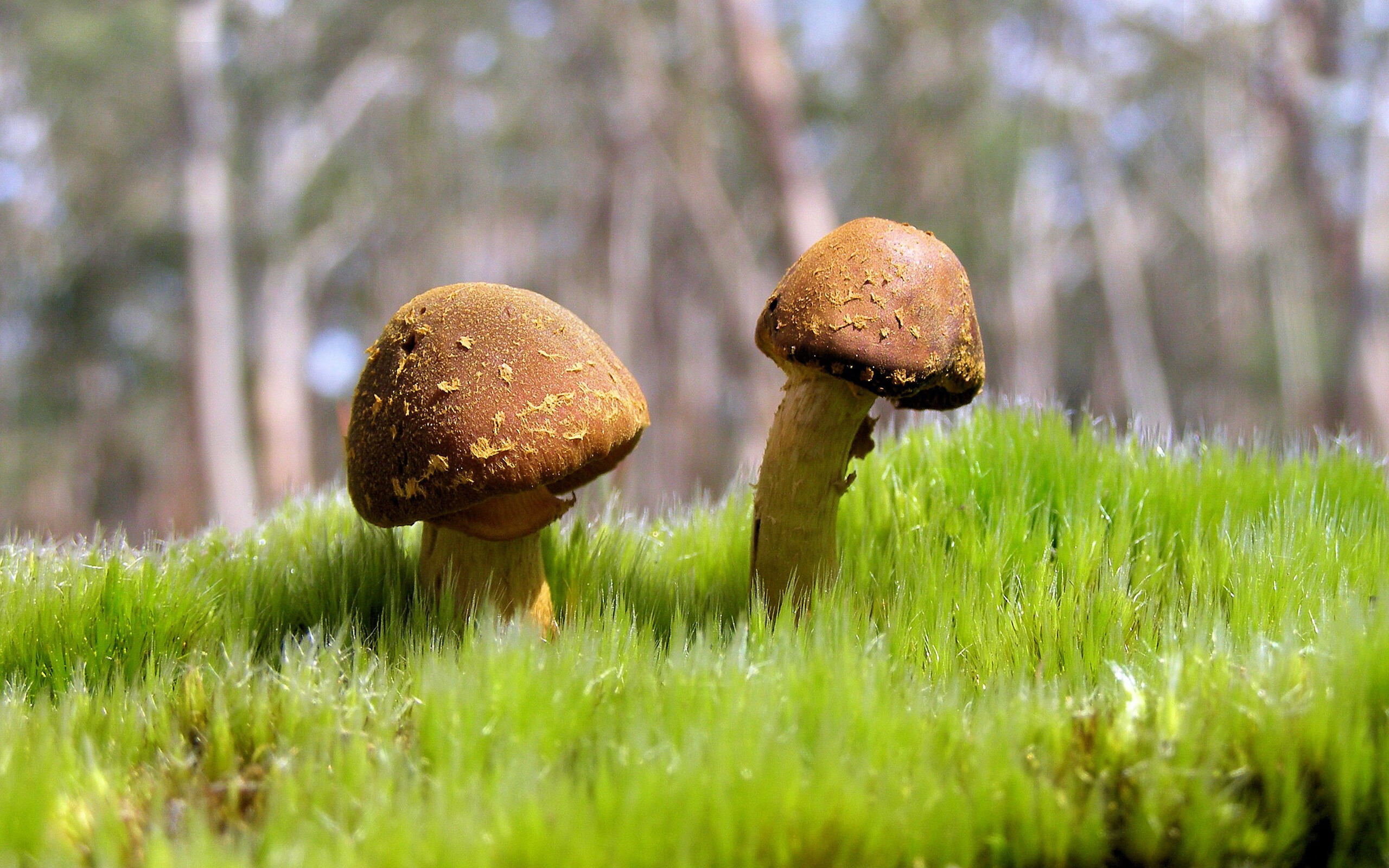 乡村田径运动会，激发农村青少年的热情，乡村体育运动