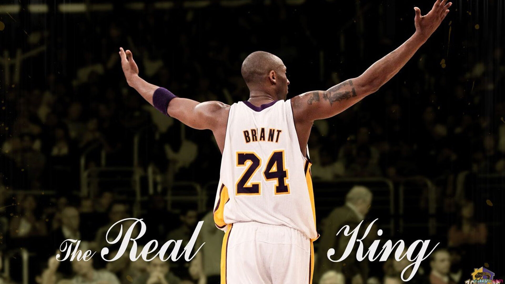 体育场馆智能管理系统投入使用，体育场馆智慧管理系统