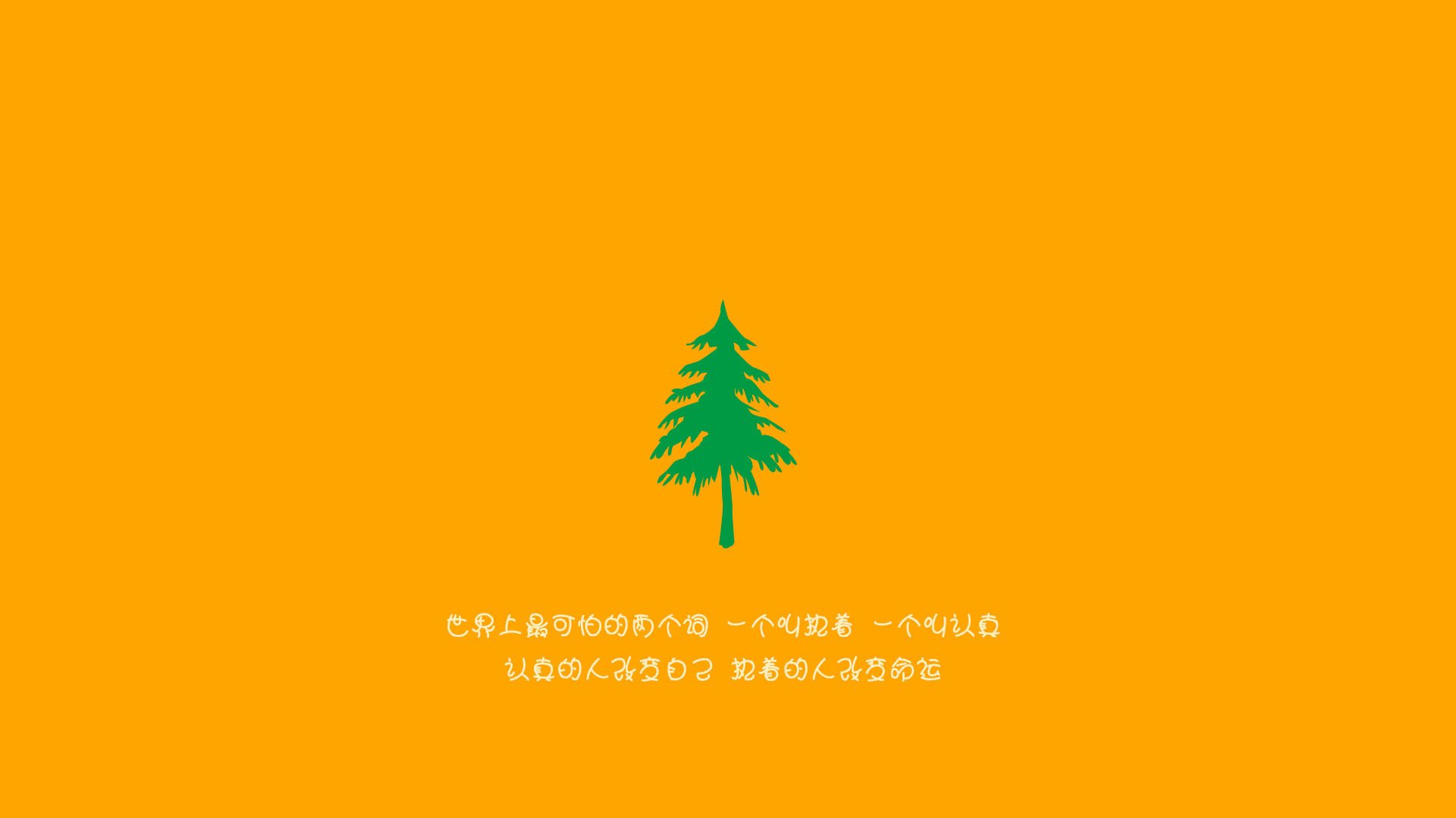 克罗地亚青少年马术选手在2024年全国青少年马术锦标赛中表现出色，获得多项荣誉。